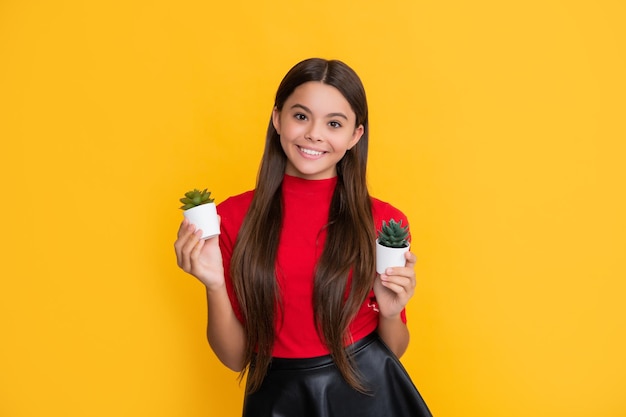 Sorriso de criança com cacto em panela em fundo amarelo