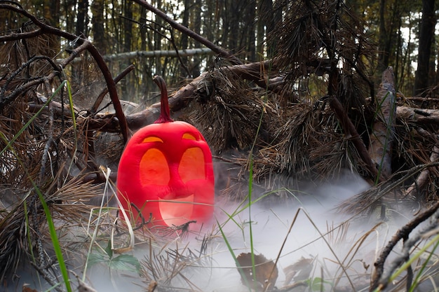 Sorriso engraçado, abóbora de halloween colorido em rosa na floresta de outono em meio a fumaça ou nevoeiro jack o lantern