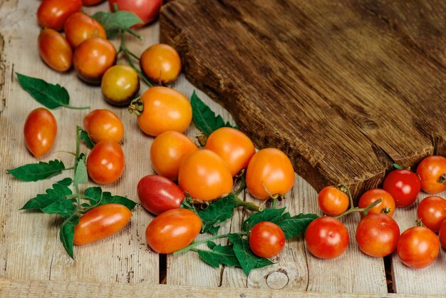 Sorte reife, natürliche, köstliche Bio-Tomaten Frisches, saisonales, lokal angebautes Gemüse