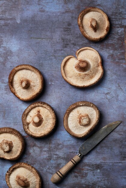 Sortiment von Shiitake-Pilzen auf grauem Hintergrund mit einem Messer