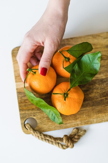 Foto dé sostener la mandarina con una rama en el fondo blanco.