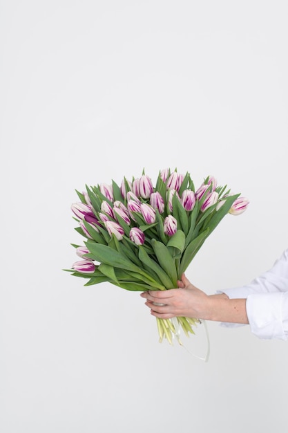 Sostenga en las manos un gran ramo de tulipanes violetas sobre un fondo blanco