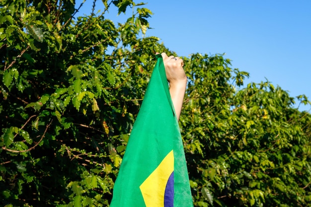 Sosteniendo la bandera brasileña en el viento