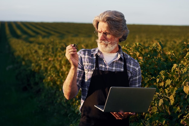 Sosteniendo la computadora portátil Retrato de un hombre senior elegante con cabello gris y barba en el campo agrícola