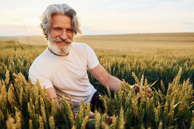 Sosteniendo la cosecha en las manos Hombre elegante senior con cabello gris y barba en el campo agrícola