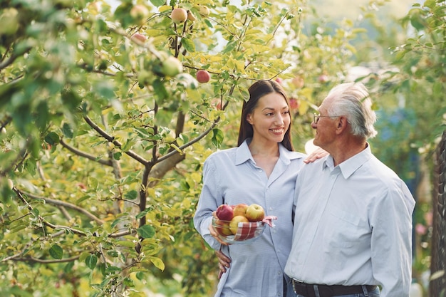 Sosteniendo manzanas frescas La hija está con su padre mayor en el jardín durante el día