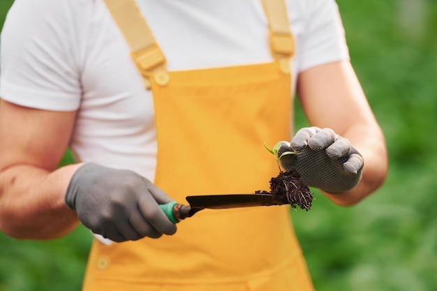 Sostiene la planta en un pequeño showel Joven trabajador de invernadero en uniforme amarillo tiene trabajo dentro del invernadero