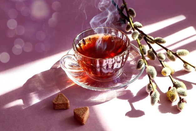 Soulful Morgentee im Frühling eine Tasse heißen Tee ein Blumenstrauß aus blühender Weide in der Sonne auf einem pastellfarbenen Hintergrund Nahaufnahme Bokeh