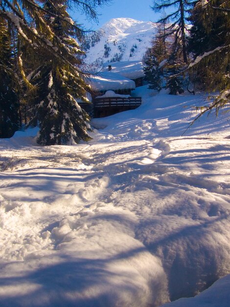 Sous le rochervallorcinehaute savoiefrance