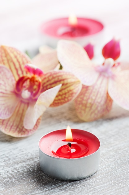 Spa Bodegón con orquídea naranja roja