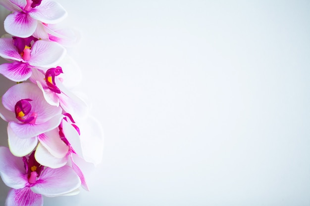 Foto spa e bem-estar cena, flor de orquídea no pastel de madeira