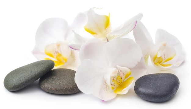 Spa de piedra con flor de orquídea