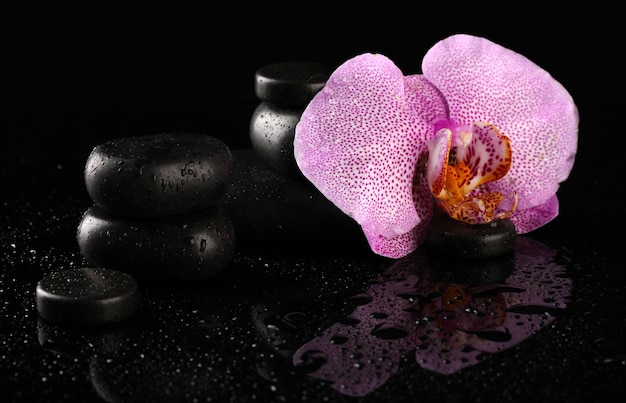 Spa piedras y flor de orquídea sobre fondo negro