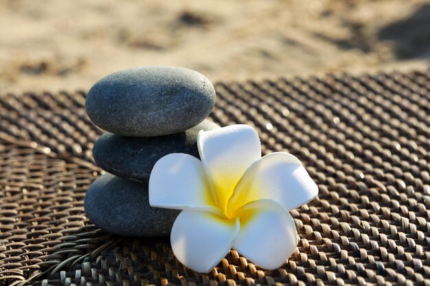 Spa piedras con flores al aire libre