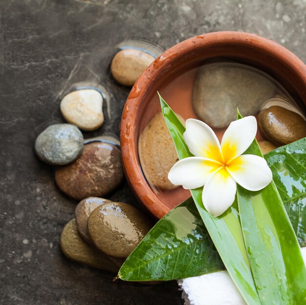 Spa piedras y flores para masajes sobre fondo oscuro