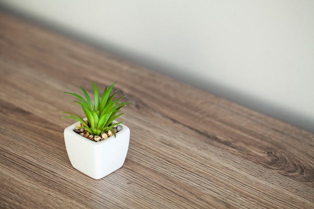 Spa. Planta suculenta en la repisa de la ventana en el baño moderno