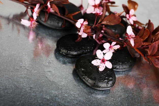 Spa-Steine mit Frühlingsblumen auf dem Tisch aus nächster Nähe