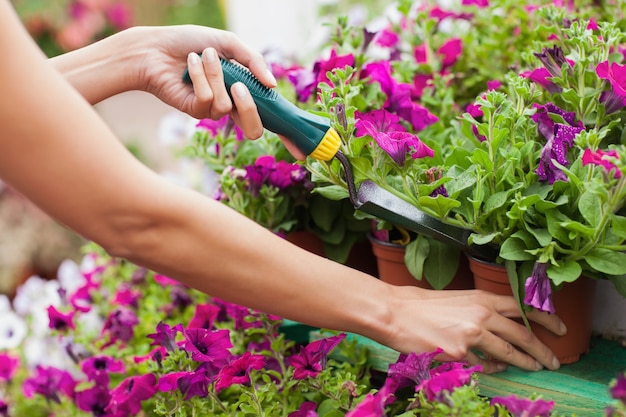 Spading Blumen der Frau