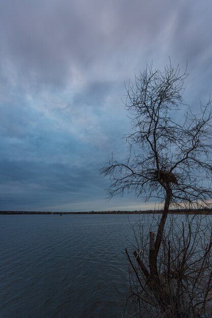 Spätabends am See bedeckt und bewölkt mit Ästen im Vordergrund