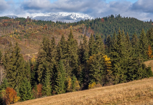 Spätherbst Bergmorgenszene mit schneebedeckten Gipfeln in fernen und nebligen Wolken in Tälern Malerische reisende saisonale Natur- und Landschaftsschönheitskonzeptszene Karpaten Ukraine