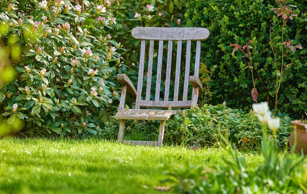 Spätsommergarten Ein Panoramafoto des Gartens im Spätsommer