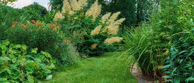 Spätsommergarten Ein Panoramafoto des Gartens im Spätsommer