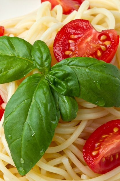 Spaghetti mit Tomaten