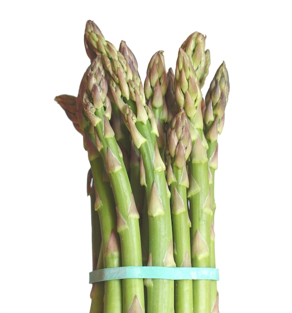 Spargel