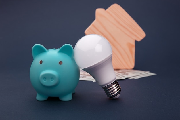 Sparschwein, Geldbanknoten und LED-Glühbirne