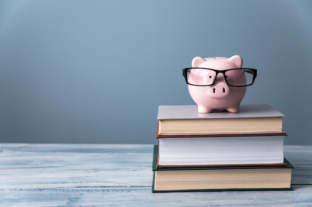 Sparschwein mit Brille auf Büchern