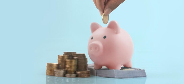 Sparschwein und Geld sparen finanzieren