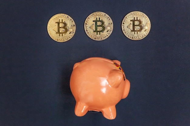 Sparschwein und goldene Bitcoin-Münze virtuelles Geld auf Schwarz