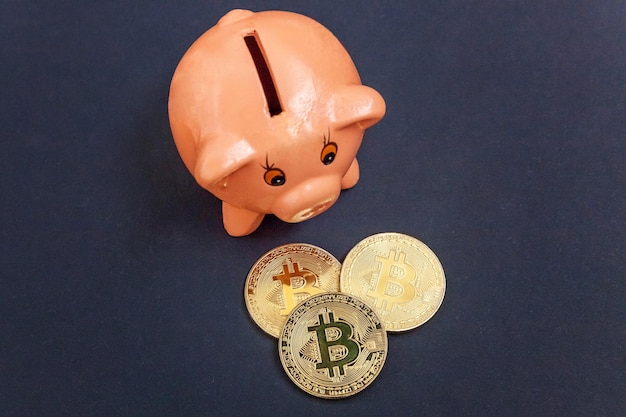 Sparschwein und goldene Bitcoin-Münze virtuelles Geld auf schwarzem Hintergrund Kryptowährung und Einsparung von Konzessionen