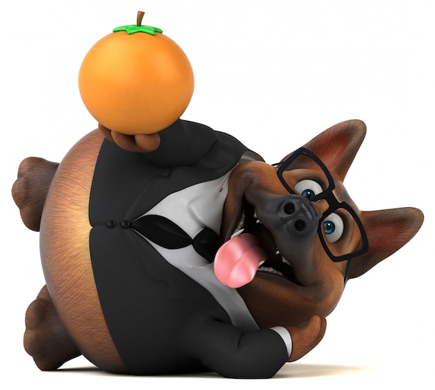 Spaß deutscher Schäferhund mit Orangenfrucht