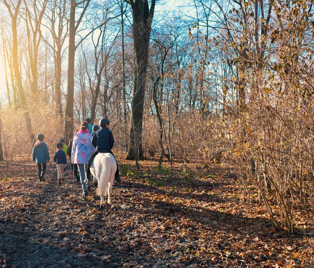 Spazieren Sie mit Kindern zu Pferd im Wald.