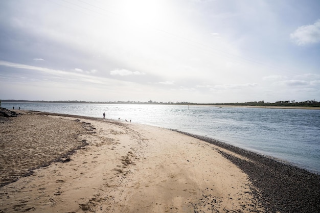 Spaziergang an einem australischen Strand bei Ebbe in Melbourne, Australien im Sommer