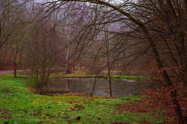 Spaziergang im Herbstpark mit einem See