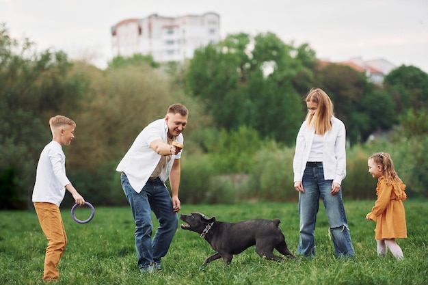 Spaziergang mit Hund Familie hat im Sommer zusammen ein Wochenende im Freien