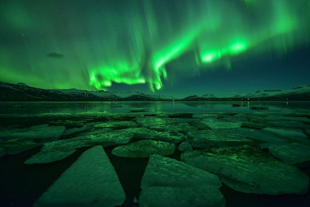 Spektakuläre Auroralanzeige bei Nacht über Eissee, Island