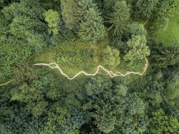 Spektakuläre Luftaufnahme zur unbefestigten Straße mit Bergen und Wald von oben, Karpatengebirge