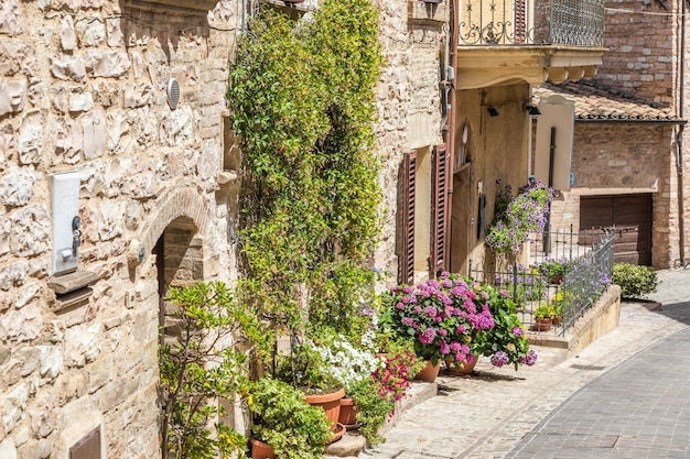 Spello Itália Por volta de junho de 2021 flores na antiga rua Spello está localizada na região da Úmbria Itália