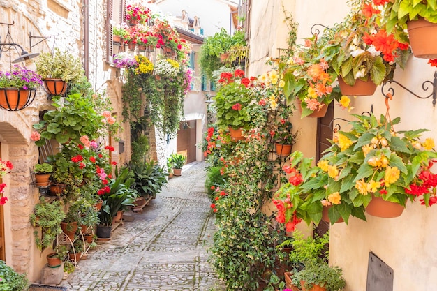 Spello, Itália - Por volta de junho de 2021: flores na rua antiga Spello está localizado na região da Úmbria, Itália.