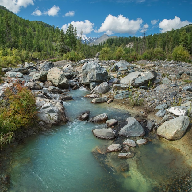 Áspero río de montaña en las montañas de Siberia