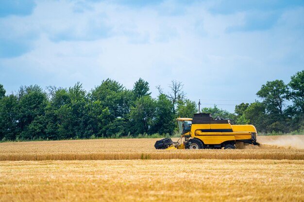 Spezielle Maschine, die Getreide auf Feldern erntet Agrartechnik in Aktion Reifes Erntekonzept Crop-Panorama Getreide oder Weizen sammeln Schwere Maschinen blauer Himmel über dem Feld