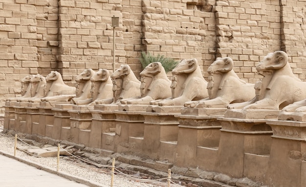 Sphinxe im Karnak-Tempel Luxor Ägypten