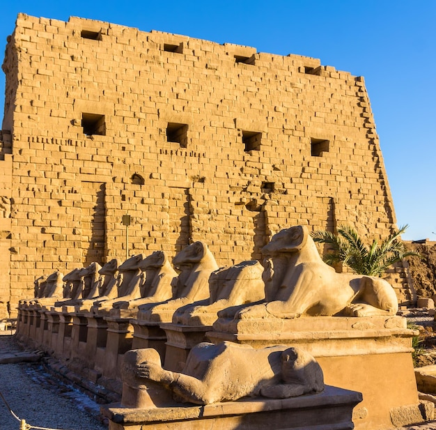 Sphinxen am Eingang des Karnak-Tempels in Luxor, Ägypten