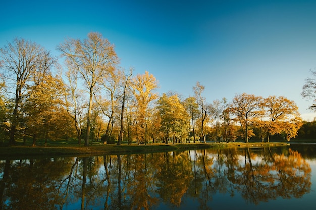 Spiegelung der Bäume im See gegen den Himmel im Herbst