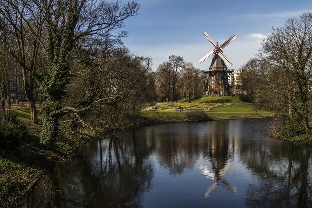 Spiegelung einer traditionellen Windmühle im Teich