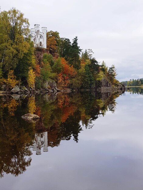 Spiegelung eines Baumes im Herbst gegen den Himmel