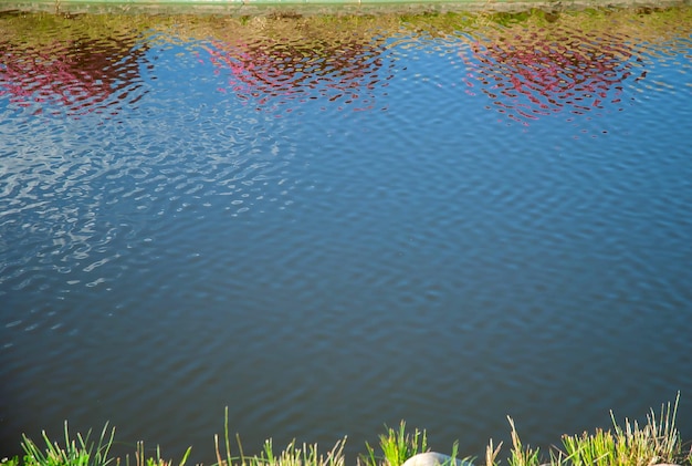 Spiegelung im Wasser